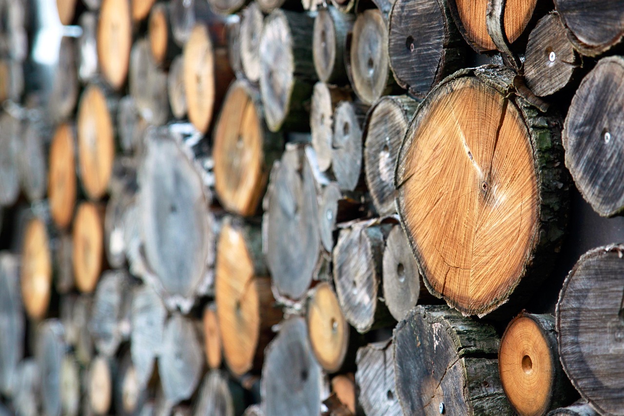 Ash Timber