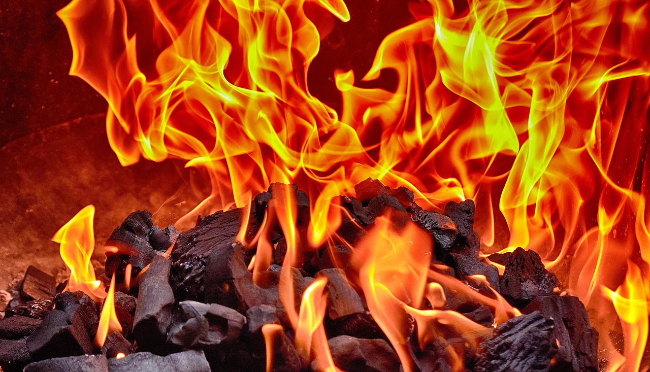 Nestro Briquettes