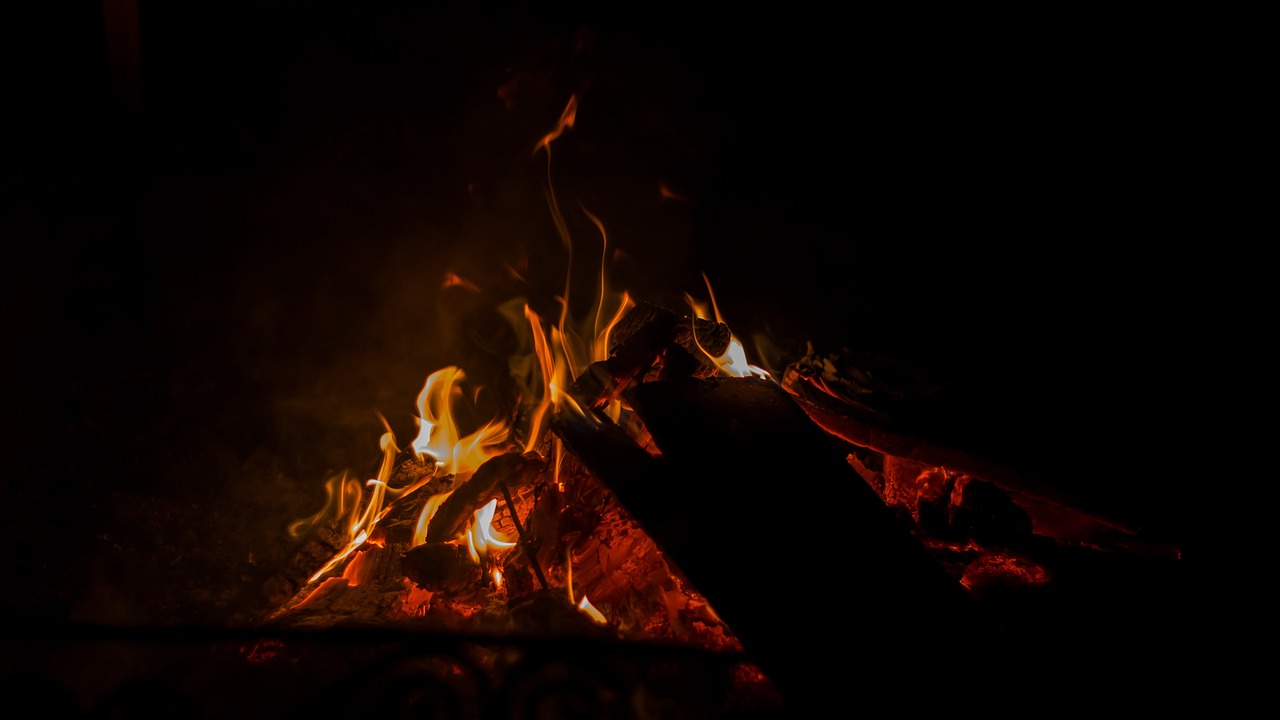 Nestro Briquettes