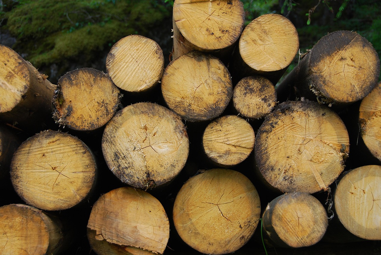 Pini-Kay Briquettes