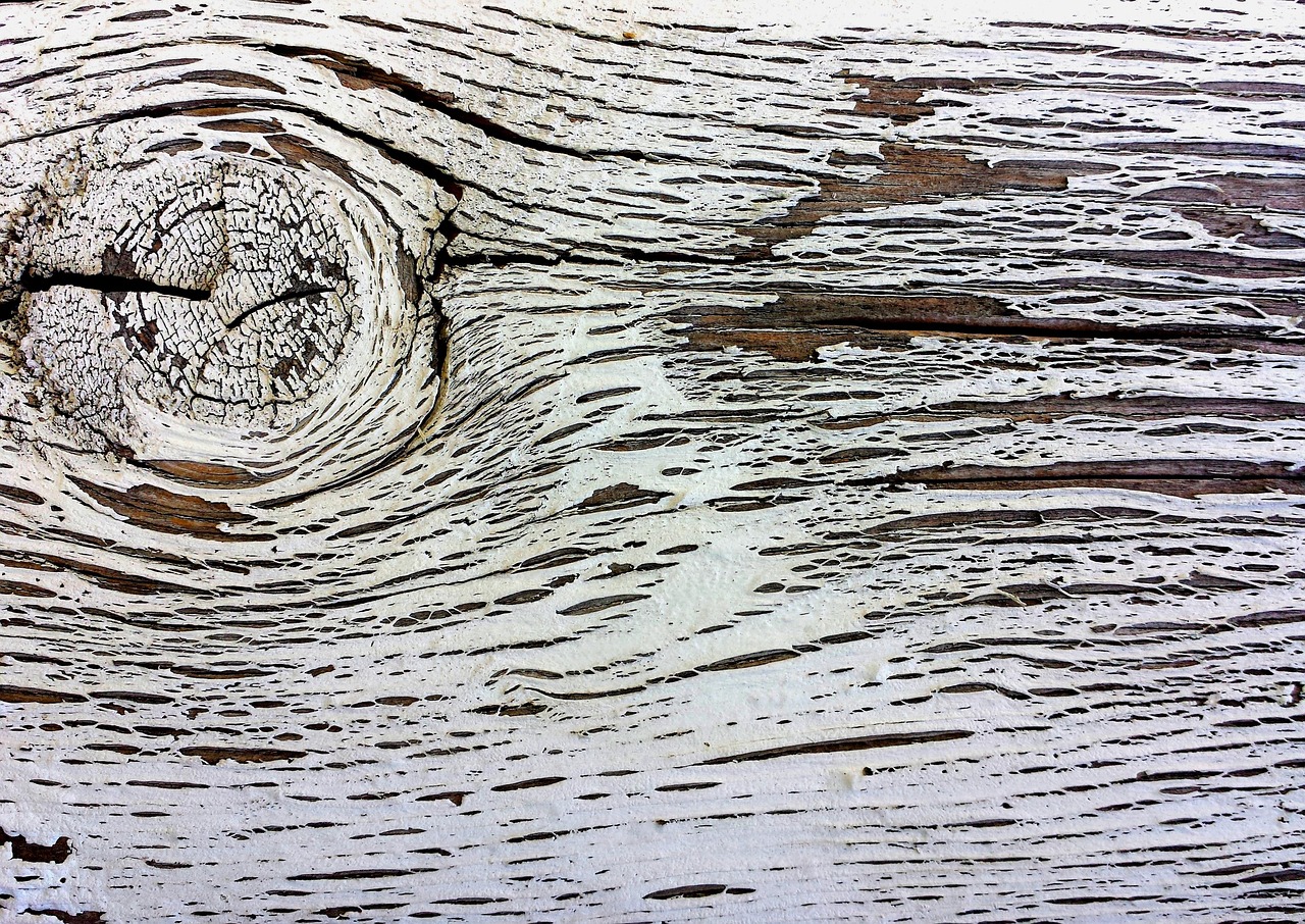 Poplar Timber