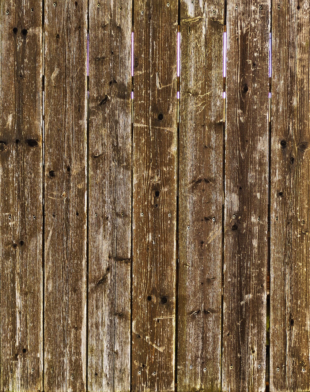 Spruce Timber